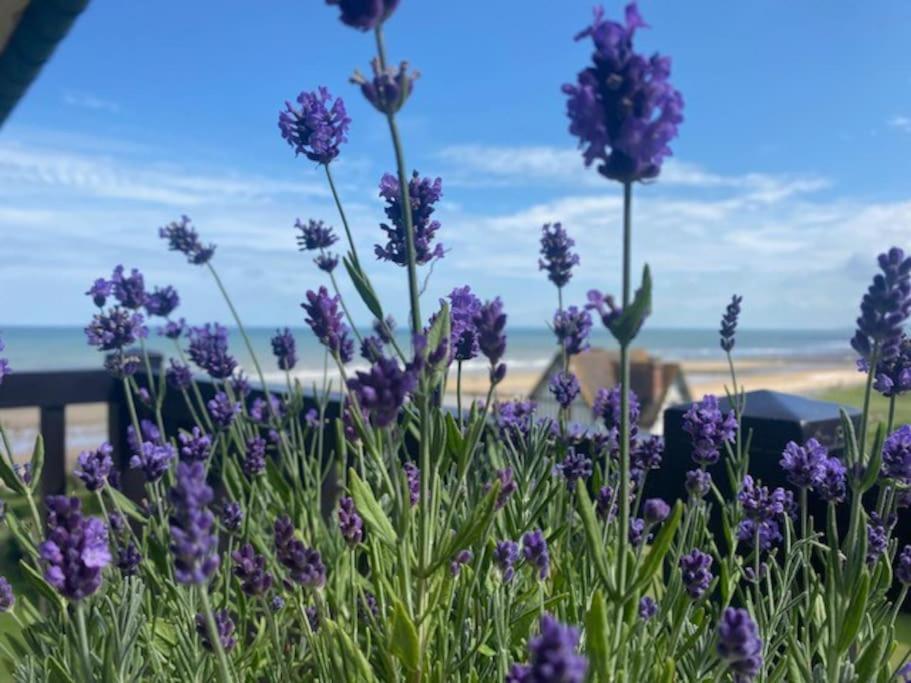 Appartement Sur La Plage / Enjoy The Beach à Cabourg Extérieur photo